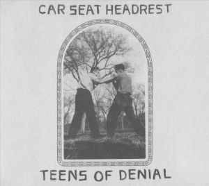 car seat headrest